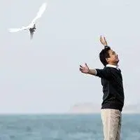 pwcio@Kyson